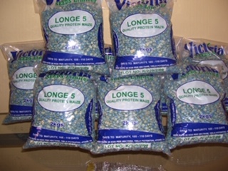 company products 3